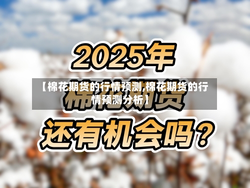 【棉花期货的行情预测,棉花期货的行情预测分析】