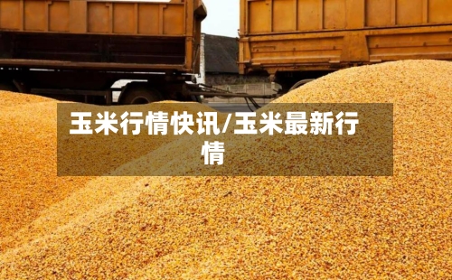 玉米行情快讯/玉米最新行情-第2张图片