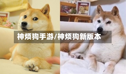 神烦狗手游/神烦狗新版本-第2张图片