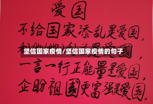 坚信国家疫情/坚信国家疫情的句子-第2张图片