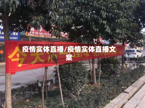 疫情实体直播/疫情实体直播文案-第3张图片