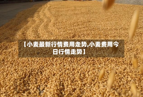 【小麦最新行情费用走势,小麦费用今日行情走势】