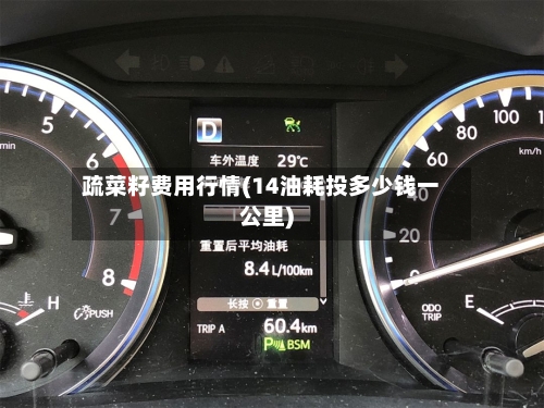 疏菜籽费用行情(14油耗投多少钱一公里)