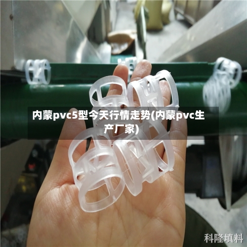 内蒙pvc5型今天行情走势(内蒙pvc生产厂家)-第2张图片