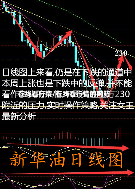在线看行情/在线看行情的网站