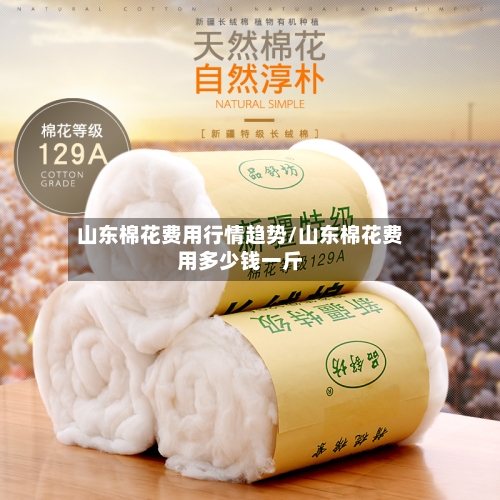 山东棉花费用行情趋势/山东棉花费用多少钱一斤-第2张图片