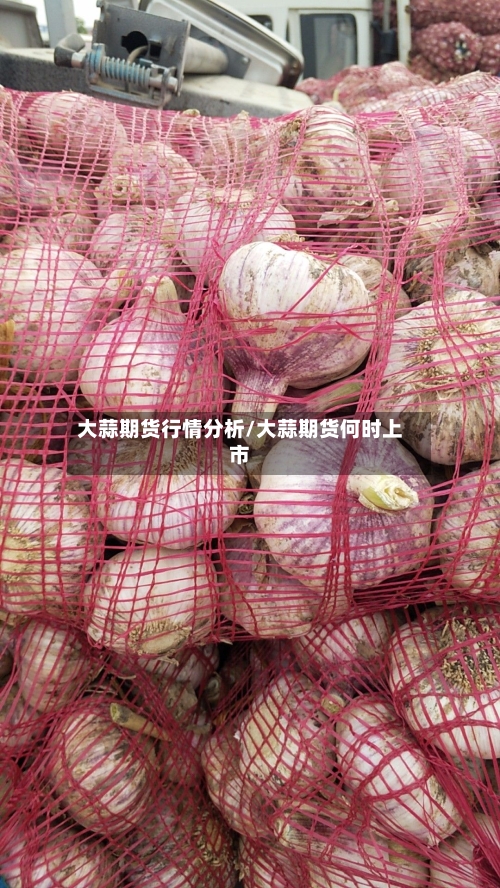 大蒜期货行情分析/大蒜期货何时上市