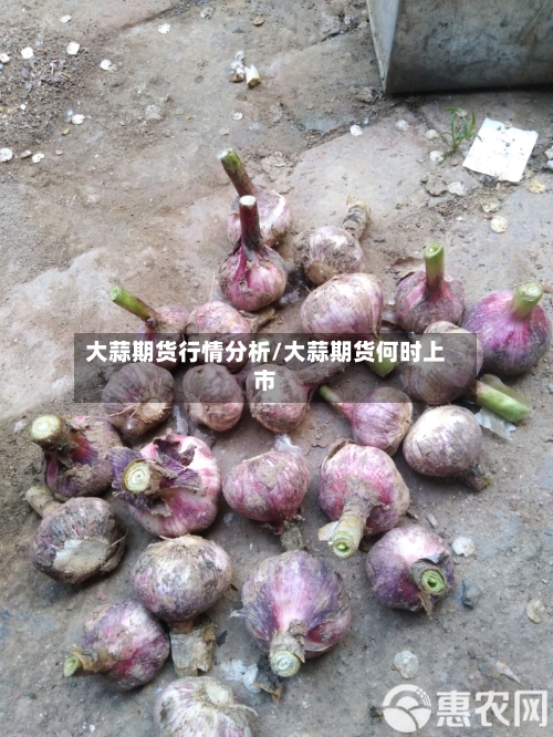 大蒜期货行情分析/大蒜期货何时上市-第2张图片