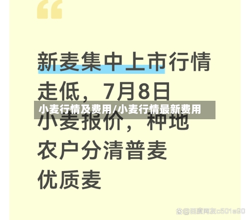 小麦行情及费用/小麦行情最新费用-第2张图片