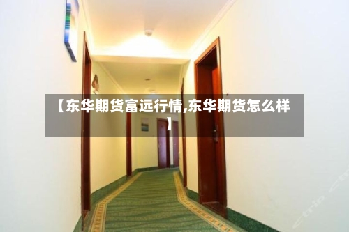 【东华期货富远行情,东华期货怎么样】