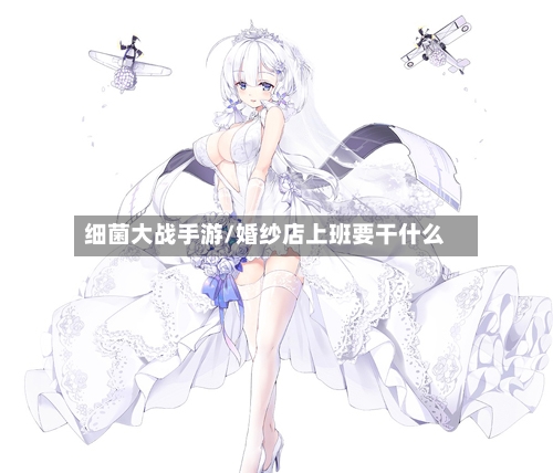 细菌大战手游/婚纱店上班要干什么