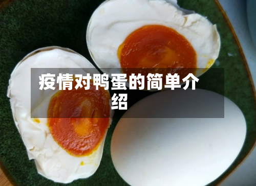 疫情对鸭蛋的简单介绍-第2张图片