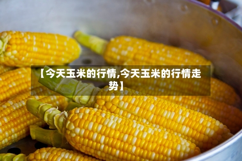 【今天玉米的行情,今天玉米的行情走势】