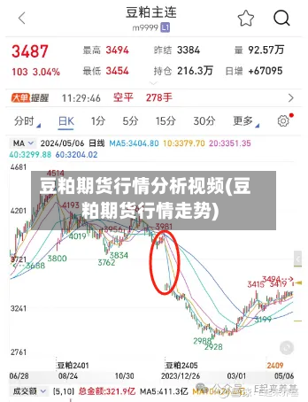 豆粕期货行情分析视频(豆粕期货行情走势)