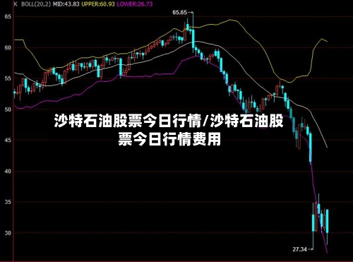 沙特石油股票今日行情/沙特石油股票今日行情费用