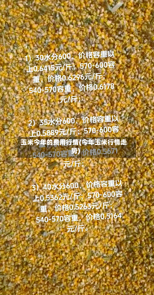玉米今年的费用行情(今年玉米行情走势)