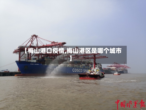 【梅山港口疫情,梅山港区是哪个城市】-第2张图片