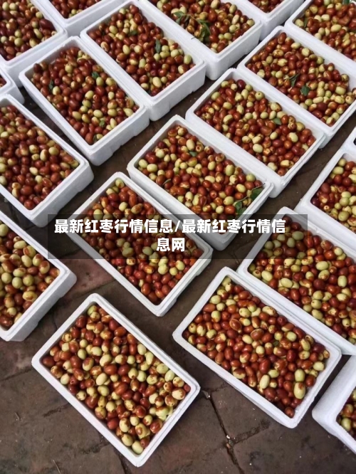 最新红枣行情信息/最新红枣行情信息网-第2张图片