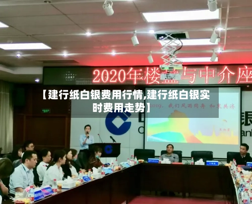 【建行纸白银费用行情,建行纸白银实时费用走势】-第2张图片