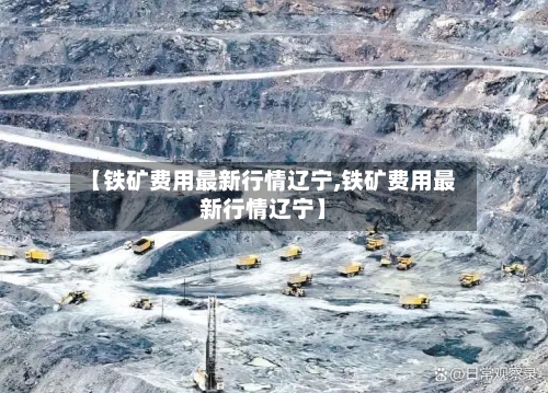【铁矿费用最新行情辽宁,铁矿费用最新行情辽宁】