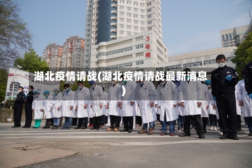 湖北疫情请战(湖北疫情请战最新消息)