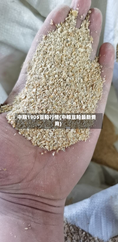 中粮1905豆粕行情(中粮豆粕最新费用)