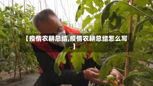 【疫情农耕总结,疫情农耕总结怎么写】