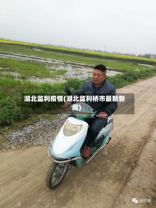 湖北监利疫情(湖北监利桥市最新新闻)-第2张图片