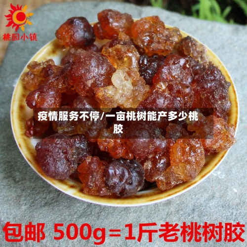 疫情服务不停/一亩桃树能产多少桃胶