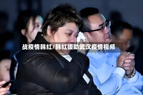 战疫情韩红/韩红援助武汉疫情视频-第2张图片
