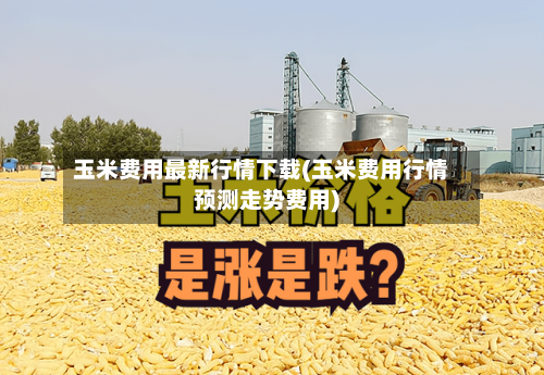 玉米费用最新行情下载(玉米费用行情预测走势费用)