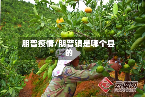 朋普疫情/朋普镇是哪个县的