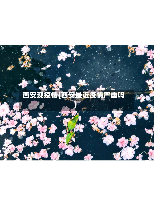 西安现疫情(西安最近疫情严重吗)-第3张图片