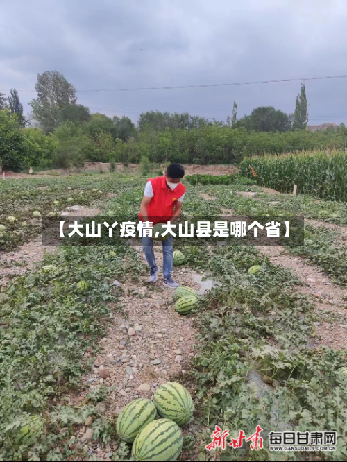 【大山丫疫情,大山县是哪个省】