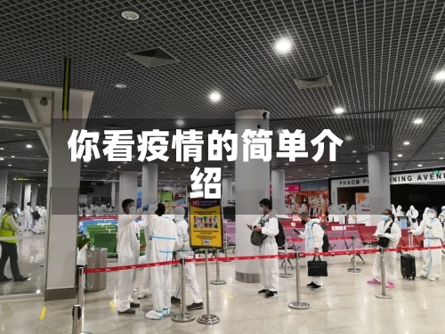 你看疫情的简单介绍-第2张图片