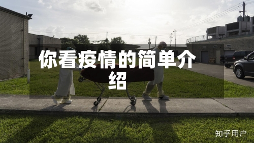 你看疫情的简单介绍-第3张图片