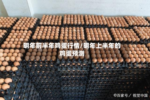 明年前半年鸡蛋行情/明年上半年的鸡蛋预测-第2张图片