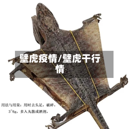 壁虎疫情/壁虎干行情-第2张图片