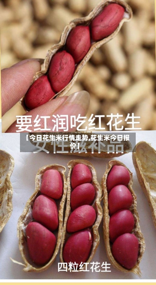 【今日花生米行情走势,花生米今日报价】-第2张图片