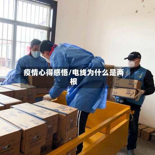 疫情心得感悟/电线为什么是两根-第2张图片