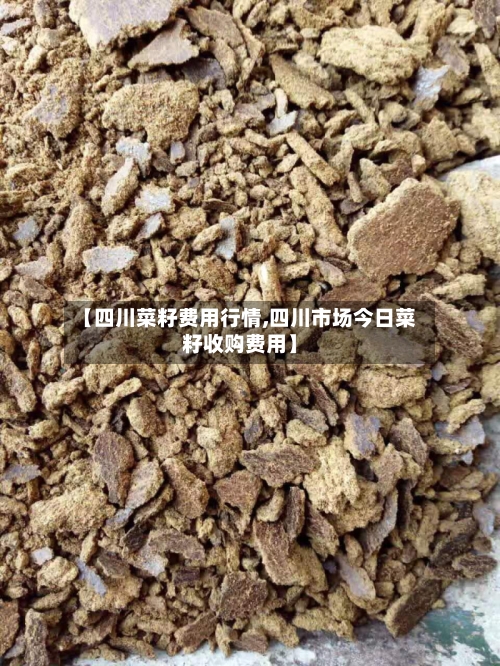 【四川菜籽费用行情,四川市场今日菜籽收购费用】