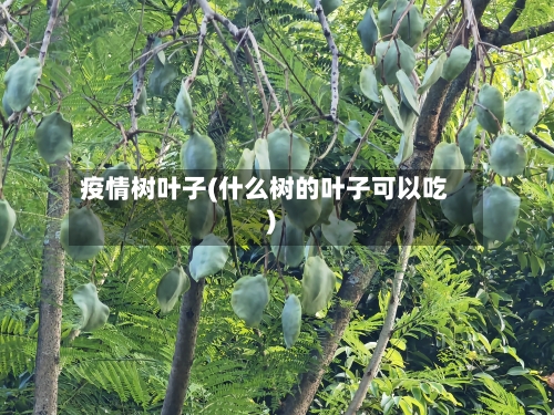 疫情树叶子(什么树的叶子可以吃)