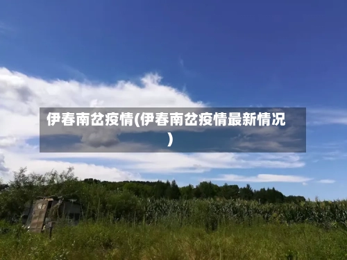 伊春南岔疫情(伊春南岔疫情最新情况)