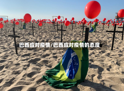 巴西应对疫情/巴西应对疫情的态度