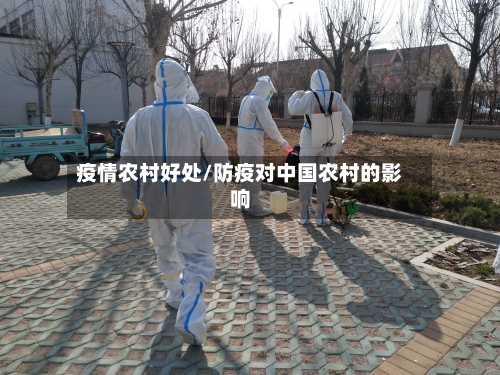 疫情农村好处/防疫对中国农村的影响