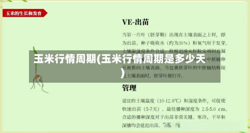 玉米行情周期(玉米行情周期是多少天)-第3张图片
