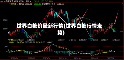 世界白糖价最新行情(世界白糖行情走势)-第2张图片