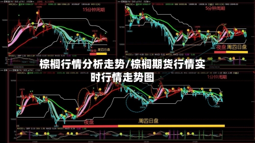 棕榈行情分析走势/棕榈期货行情实时行情走势图
