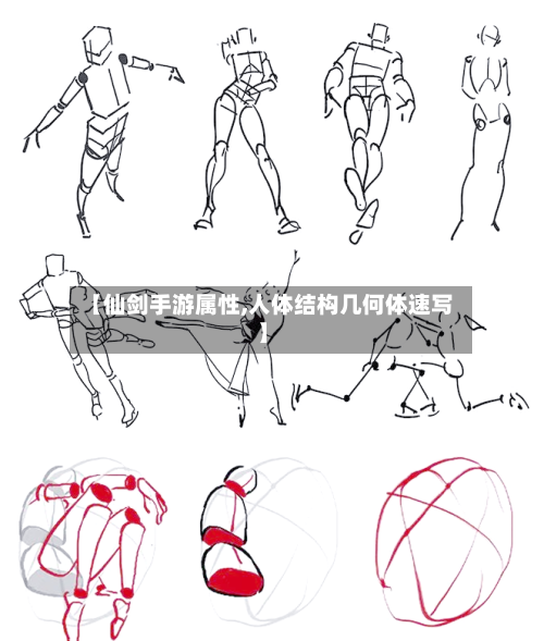 【仙剑手游属性,人体结构几何体速写】