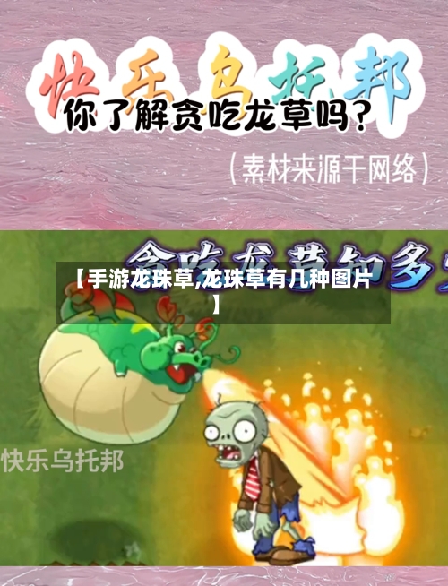 【手游龙珠草,龙珠草有几种图片】